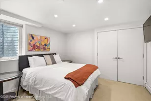 250 S Original St, Aspen, CO 81611 - Photo 12