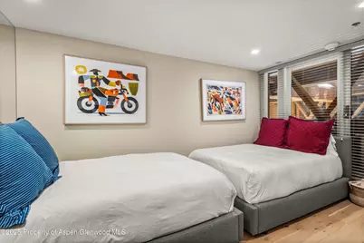 900 E Durant Avenue #B-105, Aspen, CO 81611 - Photo 12