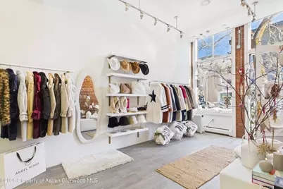 531 E Cooper Avenue #Unit 2, Aspen, CO 81611 - Photo 6