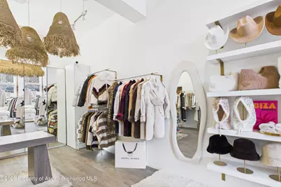 531 E Cooper Avenue #Unit 2, Aspen, CO 81611 - Photo 2