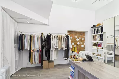 531 E Cooper Avenue #Unit 2, Aspen, CO 81611 - Photo 4