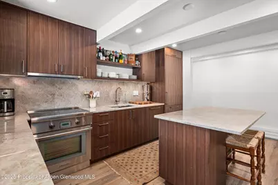 901 E Hyman Avenue #1, Aspen, CO 81611 - Photo 8