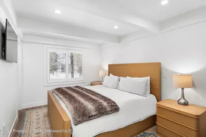 901 E Hyman Avenue #1, Aspen, CO 81611 - Photo 4