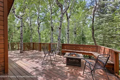 314 Mountain Laurel Drive, Aspen, CO 81611 - Photo 24