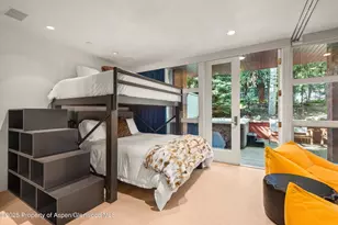 706 E Hyman Ave, Aspen, CO 81611 - Photo 32