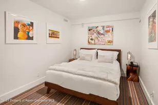 428 E Hyman Ave, Aspen, CO 81611 - Photo 38