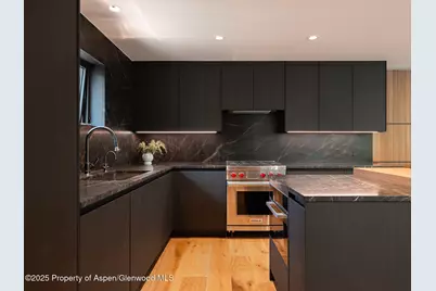 624 E Hopkins Avenue, Aspen, CO 81611 - Photo 10