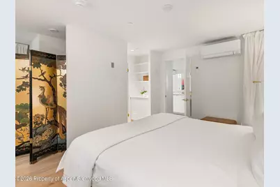 900 E Durant Avenue # 107, Aspen, CO 81611 - Photo 16