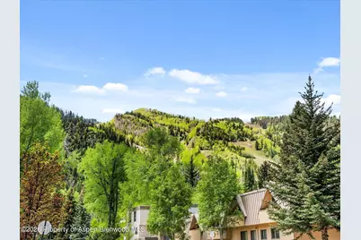 900 E Durant Avenue # 107, Aspen, CO 81611 - Photo 22