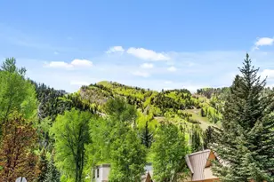 900 E Durant Ave, Aspen, CO 81611 - Photo 22
