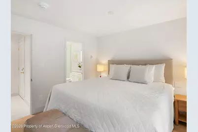 900 E Durant Avenue # 107, Aspen, CO 81611 - Photo 8