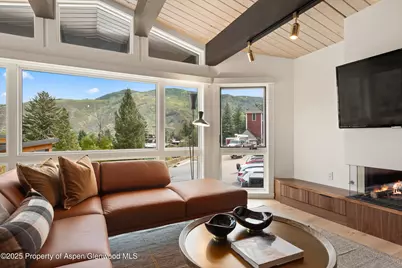 809 S Aspen Street #2, Aspen, CO 81611 - Photo 4