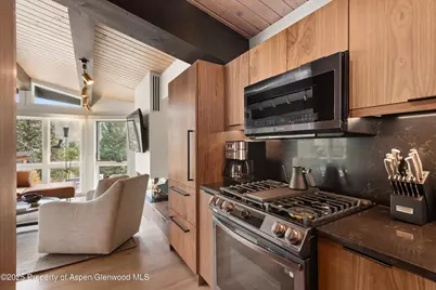 809 S Aspen Street #2, Aspen, CO 81611 - Photo 12