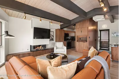 809 S Aspen Street #2, Aspen, CO 81611 - Photo 8