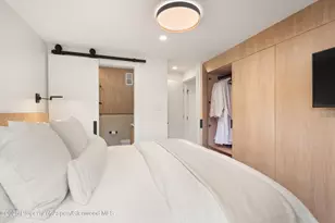 809 S Aspen St, Aspen, CO 81611 - Photo 20