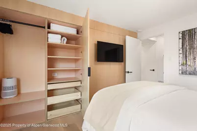 809 S Aspen Street #2, Aspen, CO 81611 - Photo 18