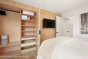 809 S Aspen St, Aspen, CO 81611 - Photo 18