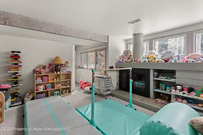 645 Sneaky Lane, Aspen, CO 81611 - Photo 20