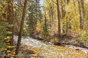 645 Sneaky Ln, Aspen, CO 81611 - Photo 30