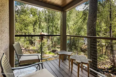 1034 E Cooper Avenue #26, Aspen, CO 81611 - Photo 22