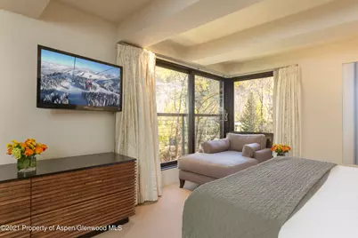 1034 E Cooper Avenue #26, Aspen, CO 81611 - Photo 16