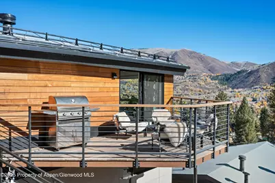 809 S Aspen Street #17, Aspen, CO 81611 - Photo 10