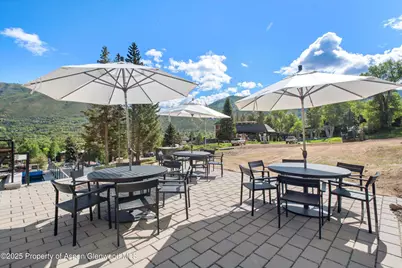 809 S Aspen Street #17, Aspen, CO 81611 - Photo 32