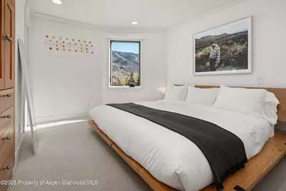 809 S Aspen Street #17, Aspen, CO 81611 - Photo 20