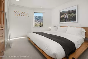 809 S Aspen St, Aspen, CO 81611 - Photo 20