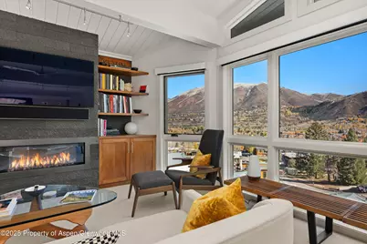 809 S Aspen Street #17, Aspen, CO 81611 - Photo 12