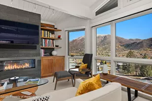 809 S Aspen St, Aspen, CO 81611 - Photo 12