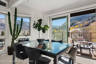 809 S Aspen Street #17, Aspen, CO 81611 - Photo 14