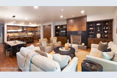 233 E Cooper Avenue #104, Aspen, CO 81611 - Photo 4