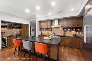 233 E Cooper Ave, Aspen, CO 81611 - Photo 6