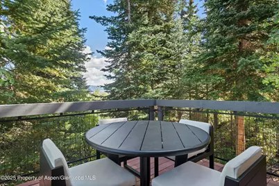 32 Elk Ridge Lane, Snowmass Village, CO 81615 - Photo 32