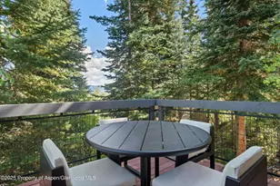 32 Elk Ridge Ln, Snowmass Village, CO 81615 - Photo 32