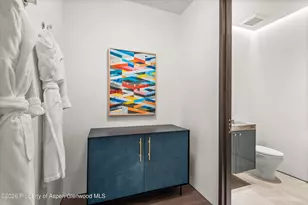 19 Little Cloud Trail, Aspen, CO 81611 - Photo 30