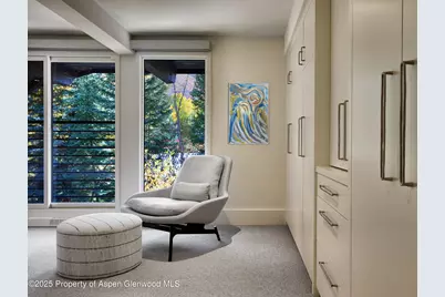 1039 E Cooper Avenue #14A, Aspen, CO 81611 - Photo 8