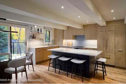 1039 E Cooper Avenue #14A, Aspen, CO 81611 - Photo 2