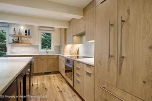 1039 E Cooper Ave, Aspen, CO 81611 - Photo 4