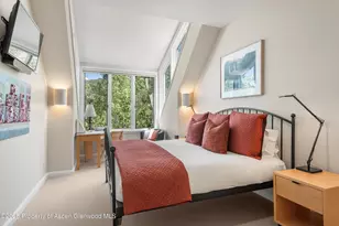 1115 Ute Ave, Aspen, CO 81611 - Photo 22