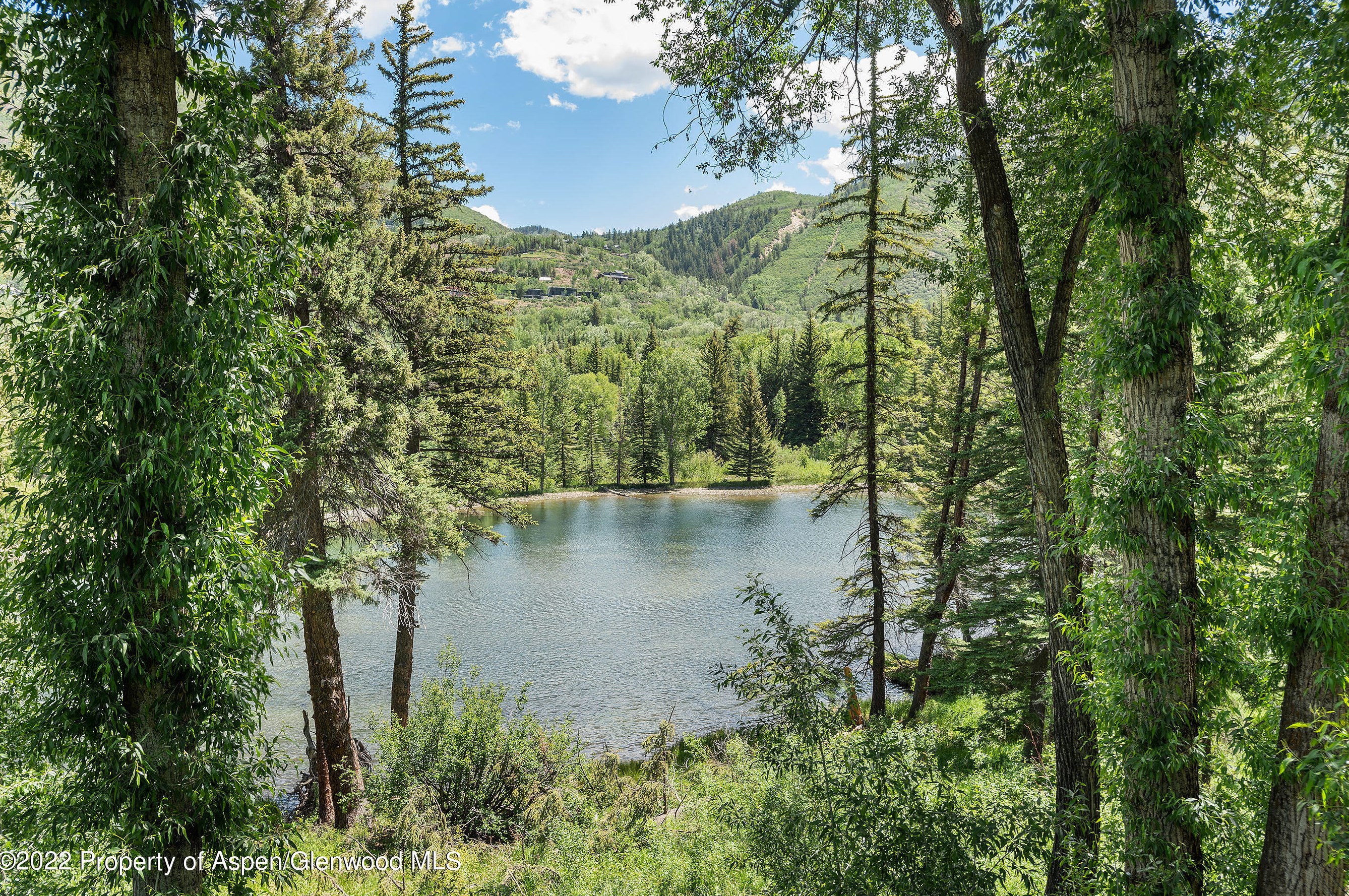 280 Lake Ave, Aspen, CO 81611-1347