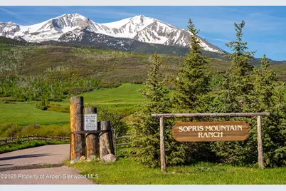 0777 Old Herron Road, Basalt, CO 81621 - Photo 46