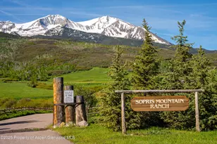 0777 Old Herron Rd, Basalt, CO 81621 - Photo 46