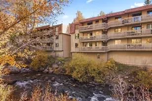 1024 E Hopkins Ave, Aspen, CO 81611 - Photo 12