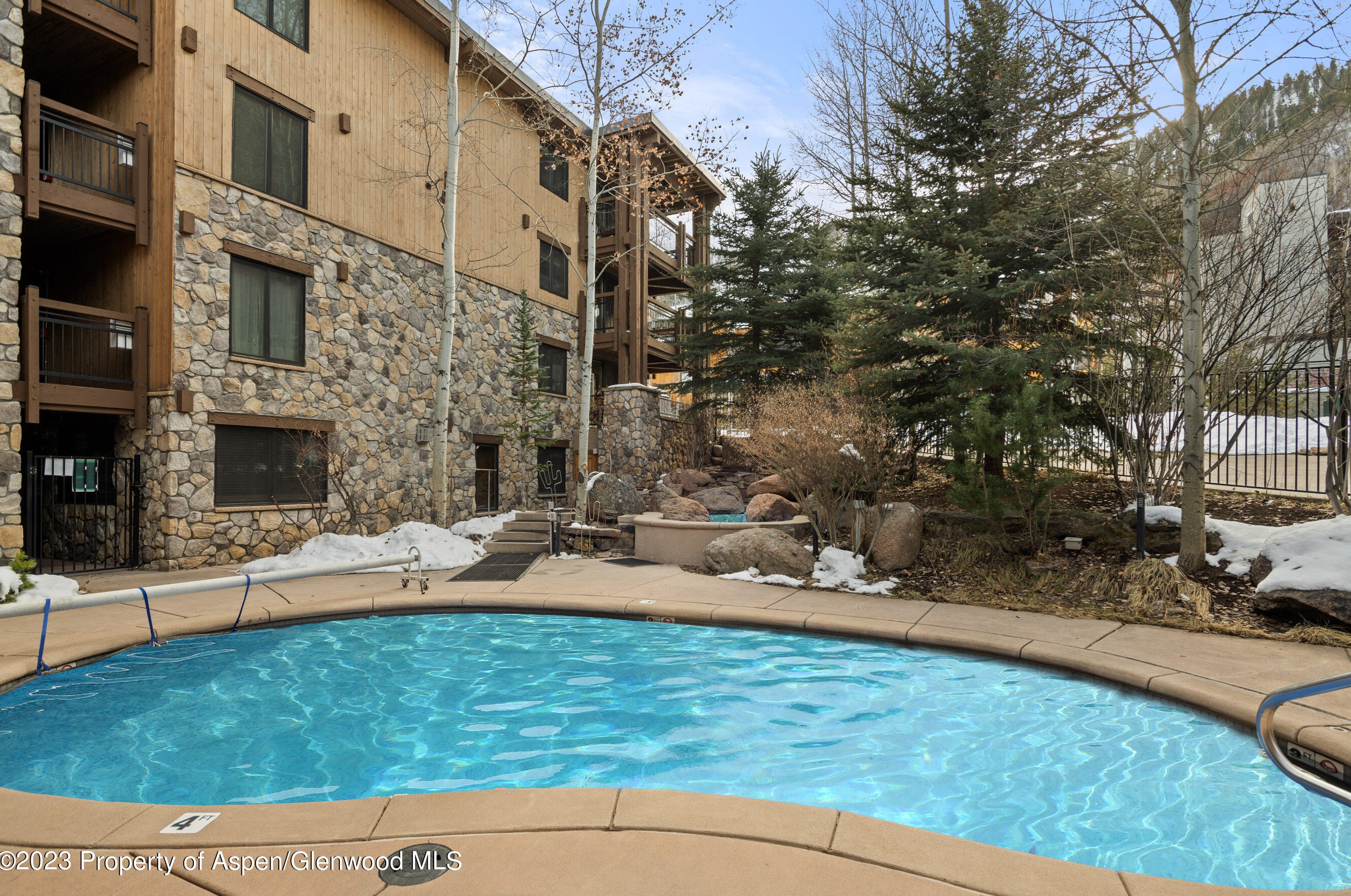 131 Durant Ave, Aspen, CO 81611-1736