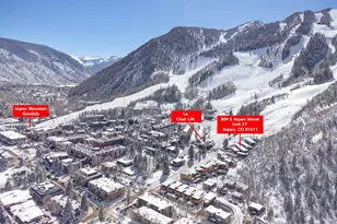 809 S Aspen St, Aspen, CO 81611 - Photo 10