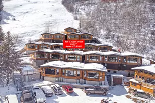 809 S Aspen St, Aspen, CO 81611 - Photo 12