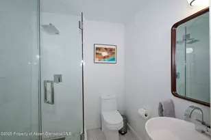 809 S Aspen St, Aspen, CO 81611 - Photo 24