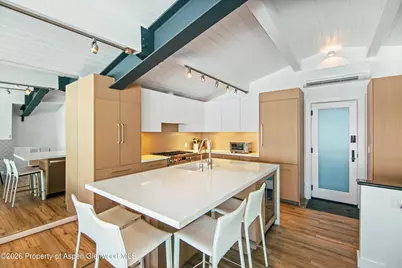 809 S Aspen Street #7, Aspen, CO 81611 - Photo 18